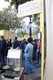 Rue libre 2014 45 * 5184 x 3456 * (7.14MB)